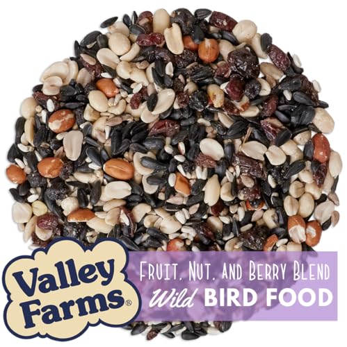 Fruit Nut & Berry Wild Bird Food for Outside Feeders (15 Pound (Pack of 1))