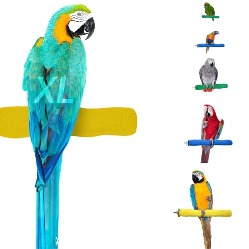 Comfort Grip Safety Bird Perch (Yellow / X-Large 13.5")