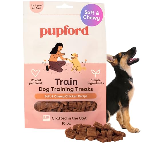 Soft & Chewy Training Treats for Dogs & Puppies (10 Ounce (Pack of 1))
