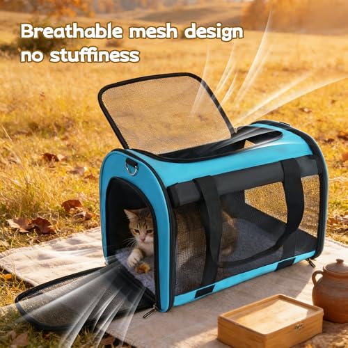 Cat Carrier Backpack (blue)