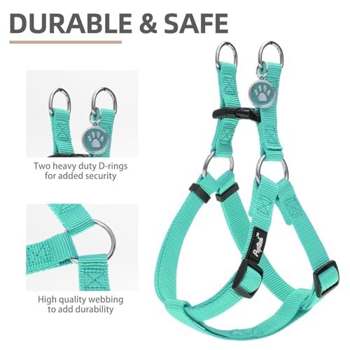 No Pull Dog Harness Medium Sized Step (Light Green / Medium)