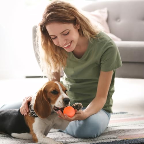 20 Pcs Indestructible Dog Toy Balls for Aggressive Chewers Chew Resistant Solid Rubber Bouncy Ball for Teeth Cleaning (Colorful / 2.36 Inches)