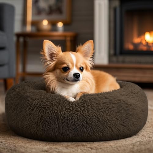 Dogs Bed for Small Dogs (Coffee / 24.0"L x 24.0"W x 8.0"Th)