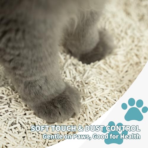 Plant Based Cat Litter