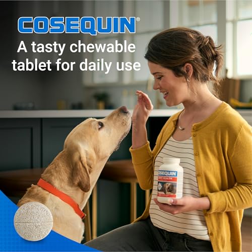Nutramax Cosequin Joint Supplement (60 count / MSM)