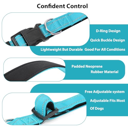 Reflective Dog Collar (Sky Blue / L:width 1"neck 17.5-27")