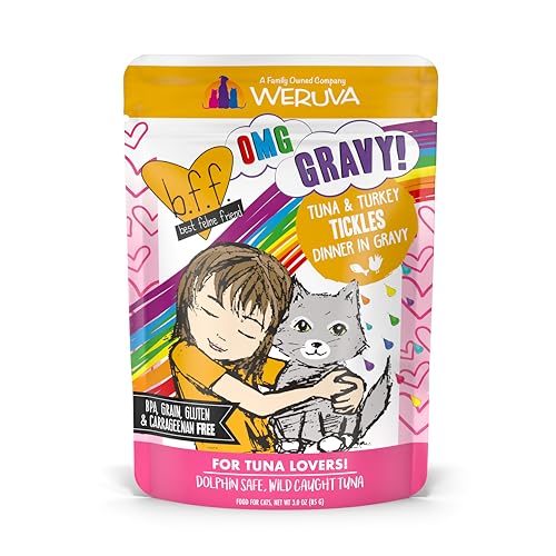 B.F.F. OMG Best Feline Friend Oh My Gravy! (3 Ounce (Pack of 12))