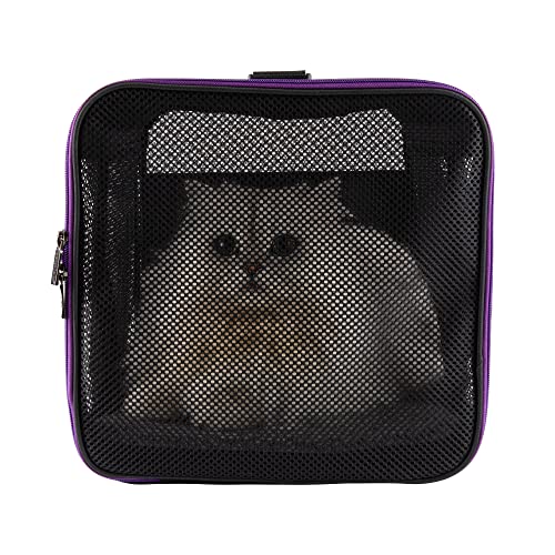Soft Pet Carrier for Large and Medium Cats (Black)