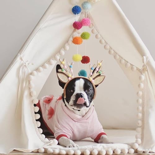 Pet Teepee Bed for Dogs and Cats (Large)