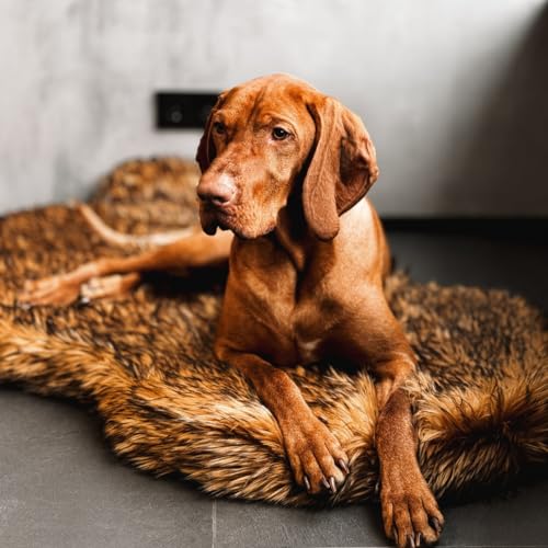 Faux Fur Orthopedic Dog Bed (Brown / Medium)