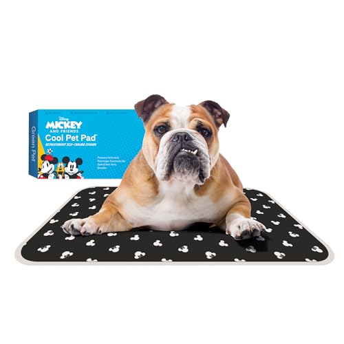 Cool Pet Pad Medium (Medium / Mickey & Minnie)