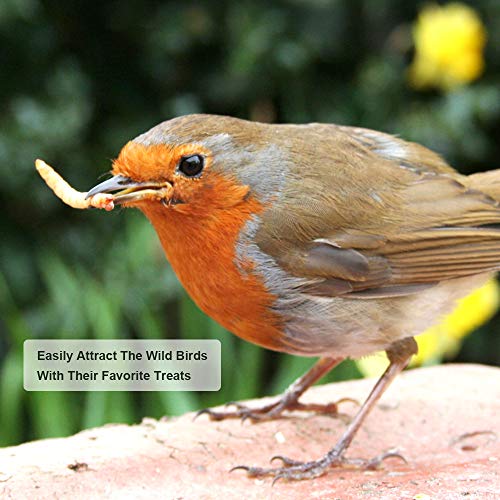 10lb Dried Mealworms for Chickens Duck High Protein Birds Treat (10 Pound (Pack of 1))