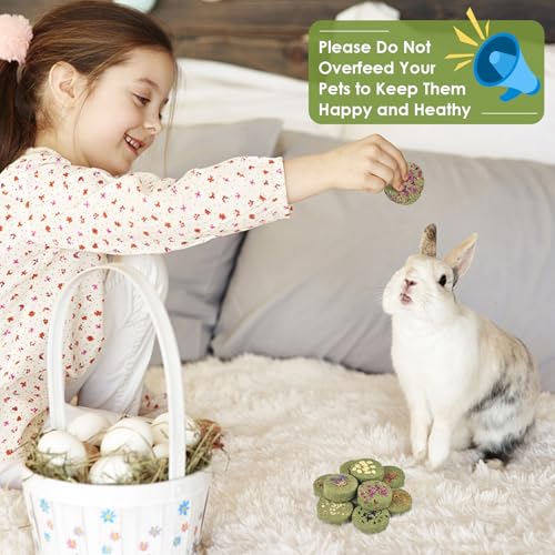 Treats Rabbit Toys (10 Count (Pack of 1))