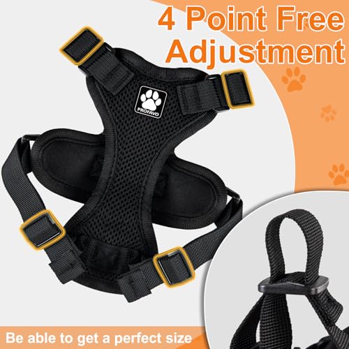 Cat Harness and Leash for Walking (XS / Black)