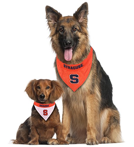 Collegiate Pet Accessories (Small/Medium / Syracuse Orange)