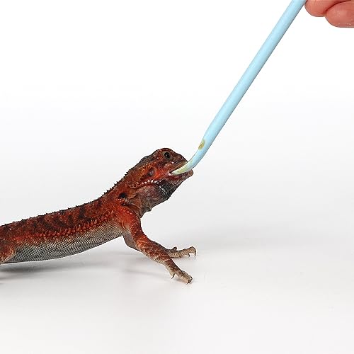 2Pcs Blue Reptile Feeding Spoon (1 Ounce (Pack of 2))