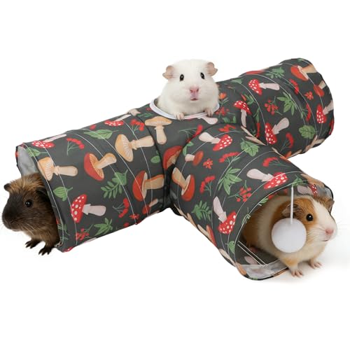 Guinea Pig Tunnel Hideout 3 (Mushroom)