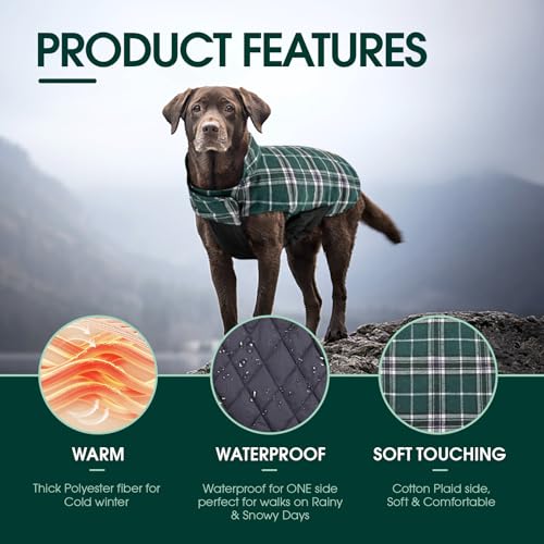 Waterproof Dog Coat (Green / X-Large (Pack of 1))