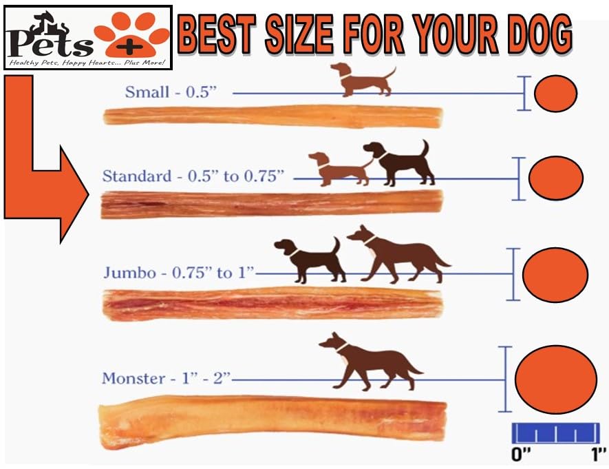 Pets Plus Premium Bart's Bully Sticks for Dogs (1 Ounce (Pack of 1))