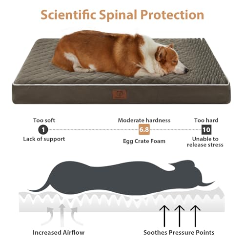 Orthopedic Waterproof Large Dog Bed for Crate Cozy Sleep (Dark Green / 35"L x 22"W x 3"Th)