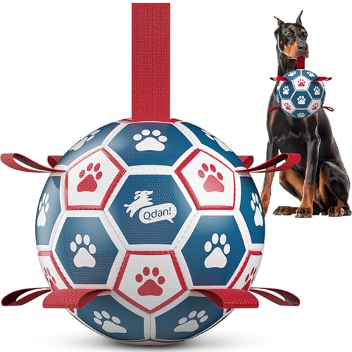 Large Outdoor Dog Toy (Blue-Red / Ultra Large Size 7 (10 Inch))