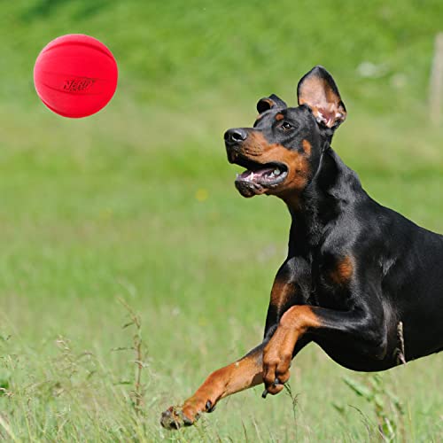 Classic Squeak Ball Outdoor Dog Toy (Green/Red / 1 Count (Pack of 2) / 2-Pack)