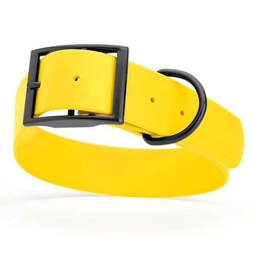 Biothane Waterproof Dog Collar Strong Coated Nylon Webbing with Black Hardware Odor