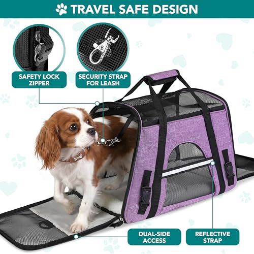 Airline Approved Pet Carrier Cats & Small Dogs (Heather Purple / 17.0"L x 10.2"W x 11.2"H)