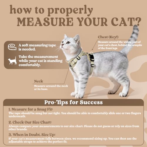 Cat Harness and Leash Set (Xs / Foamy Coffee)