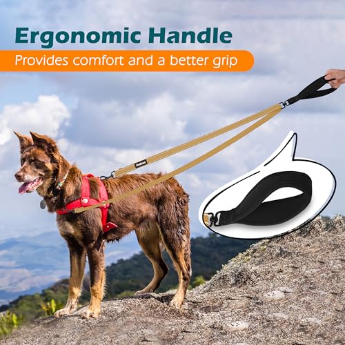 Two Point Control Dog Leash (Khaki)