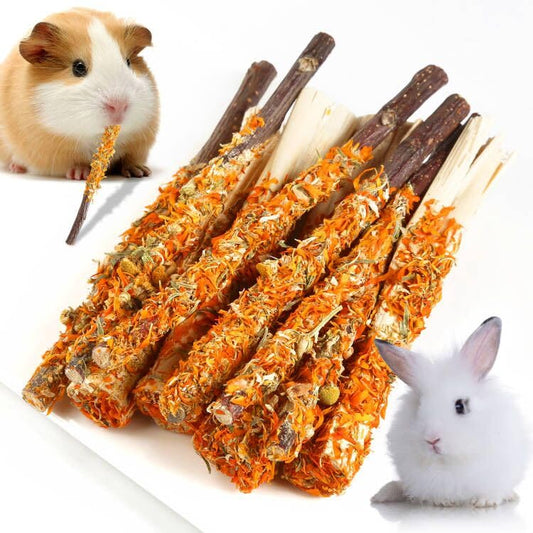Apple Sticks for Rabbits