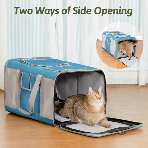 Large Cat Carrier for 2 Cats (Blue(Large))