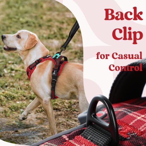 Dog Harness for Large