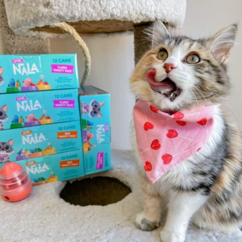 Natural Adult Cat Wet Food