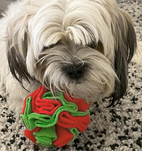 Medium Breed Snuffle Puzzle Ball Toy Christmas Green (Red and Green / Large)