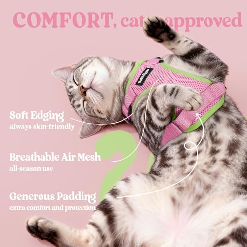Cat Harness and Leash Set (Xs / Pink & Light Green)