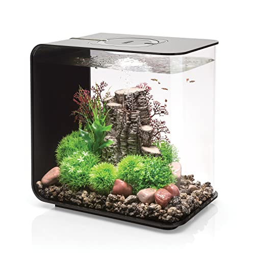 Flow 30 Acrylic 8 (8 Gallon / Black with LED Lighting)