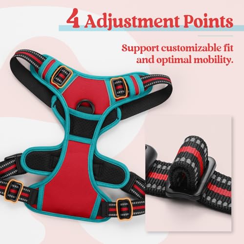 Dog Harness No Pull for Large Dogs with 2 Leash Clips (Large / Red & Teal)