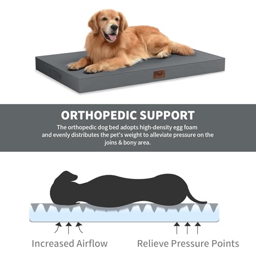 Outdoor Waterproof Orthopedic Dog Bed for Large Dogs (Grey / 36.0"L x 27.0"W x 3.0"Th)
