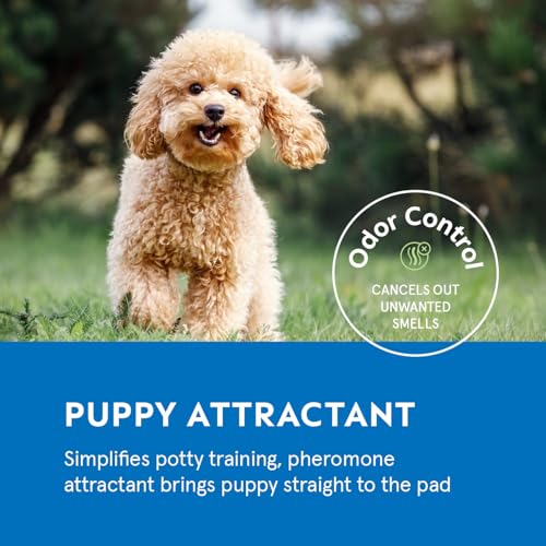 Puppy Pads Pet Pee Pads for Dogs & Puppy Training [100 (22” X 22”)
