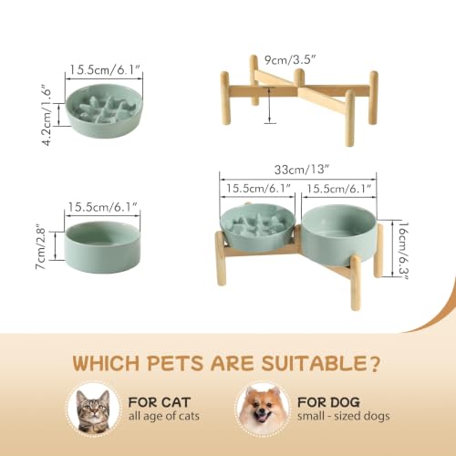 Elevated Slow Feeder Dog Bowls (Light Green)