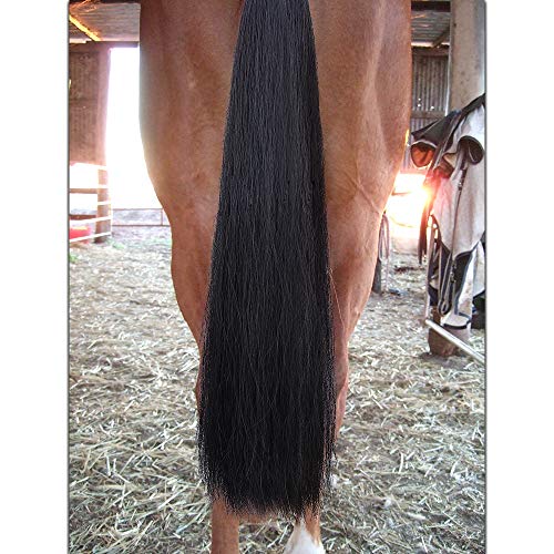 Horse Tail Extensions with Braided Horsehair Loop (1 LB (34"-36") / Jet Black)