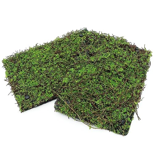 Reptile Moss Background Wall Artificial Terrarium Habitat Decor