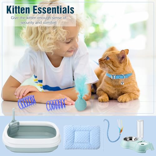 10 Pcs Kitten Starter Kit for Indoor (Classic / Medium / Blue)