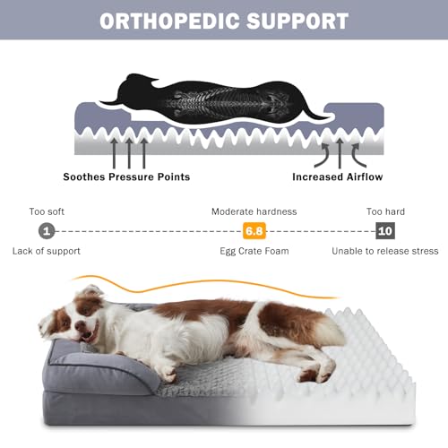 Orthopedic Dog Beds Large Sized (Dark Grey / XL (42"x 32"x 7"))