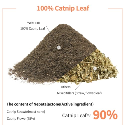 Premium Catnip for Cats & Kittens (45g)
