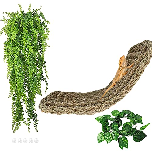 Bearded Dragon Hammock