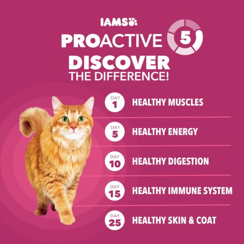 Proactive Health Urinary Tract Health Dry Cat Food (3.5 Pound (Pack of 1))