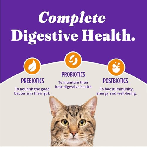 Holistic Dry Cat Food