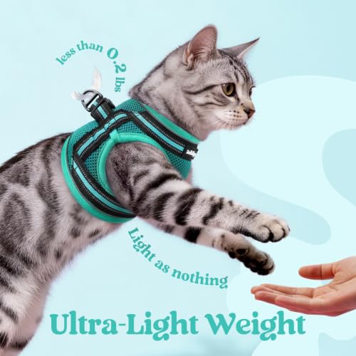 Cat Harness and Leash Set (L / Turquoise & Green)